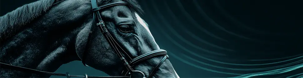 Horse Racing Promotions